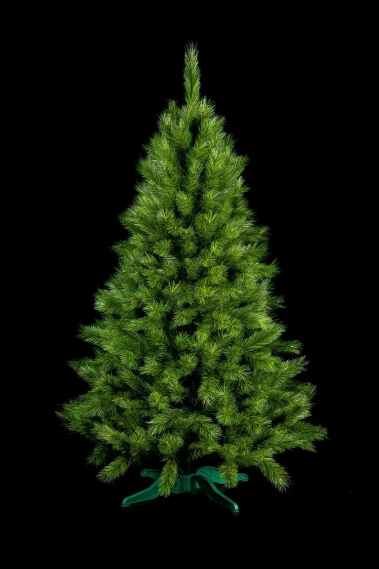 Сосна канадская микс - изображение 2