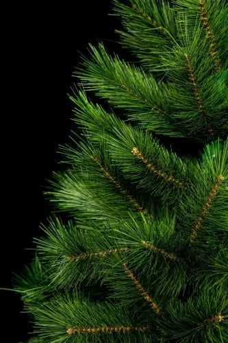 Сосна канадская микс - изображение 5