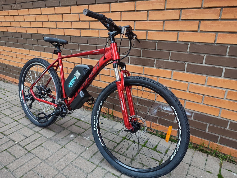 Электровелосипед Formula Zephyr 29