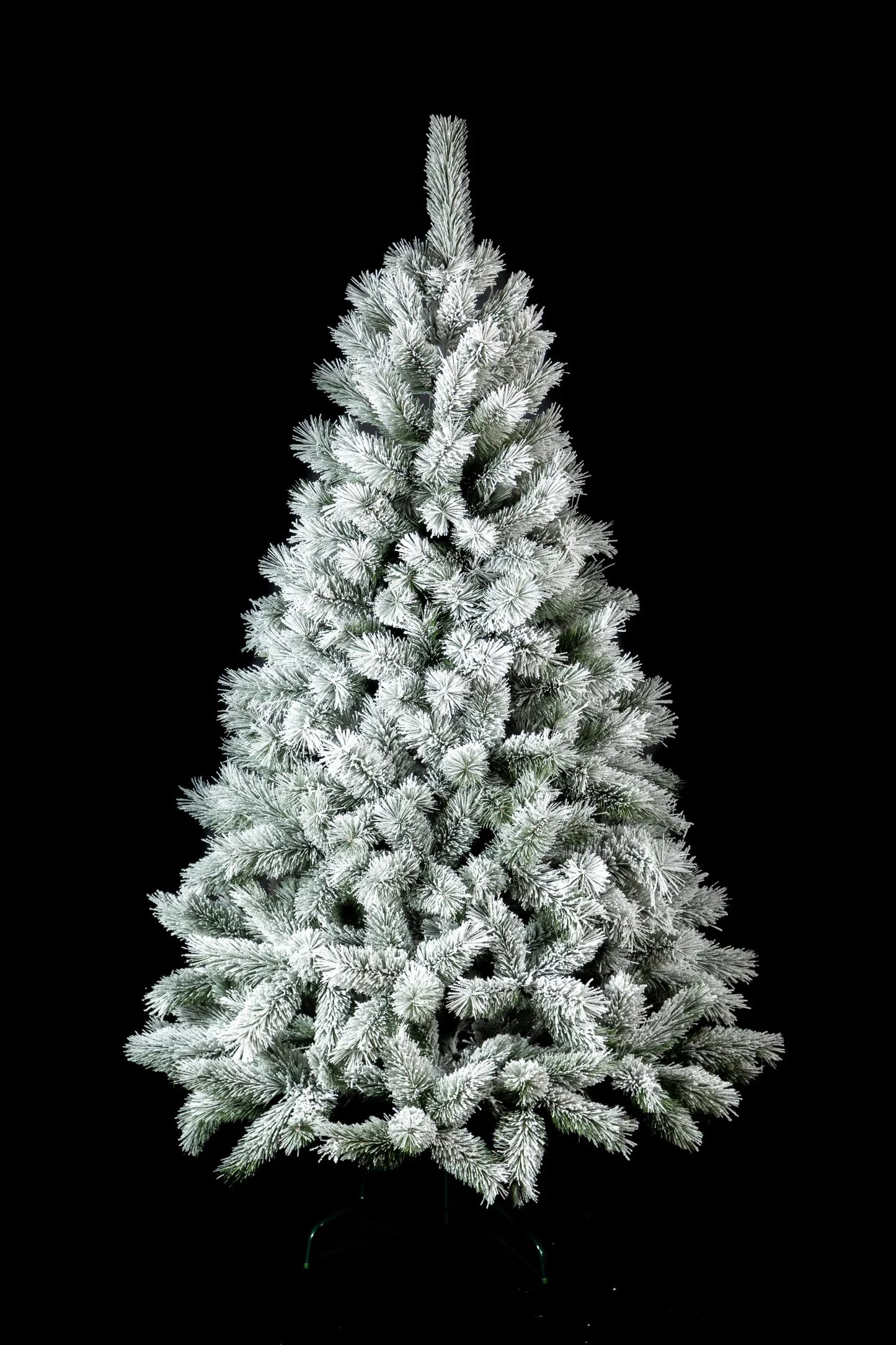 Сосна канадская заснеженная - изображение 5